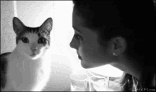 Kiss Nope GIF - Kiss Nope Cat GIFs