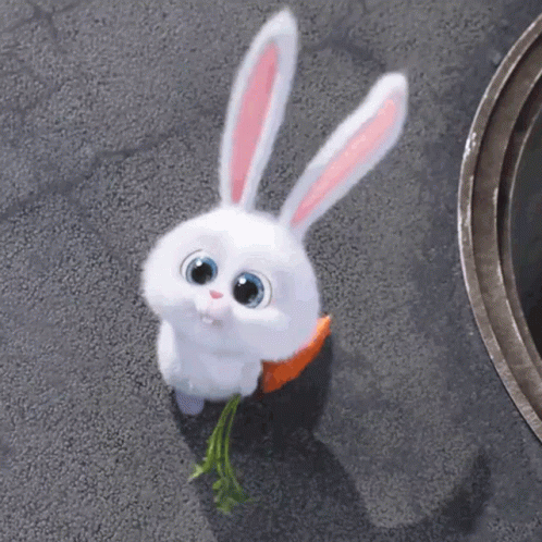 Snowball Bunny Carrot GIF - Snowball Bunny Carrot Cute Bunny - Descubre &  Comparte GIFs