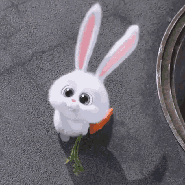 Snowball Bunny Carrot GIF - Snowball Bunny Carrot Cute Bunny GIFs
