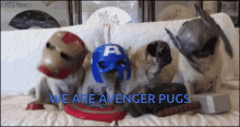 We Are Avengers Pugs Ironman Pug GIF - We Are Avengers Pugs Ironman Pug Captain America Pug GIFs