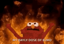Elmo Fire GIF - Elmo Fire Burning GIFs