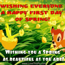 First Day Of Spring 1st Day Of Spring GIF - First Day Of Spring 1st Day Of Spring Spring Time GIFs