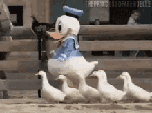 Squad Donaldduck GIF - Squad Donaldduck Duck GIFs