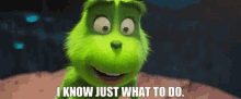 the grinch i know just what to do i know what to do evil plan plan the grinch i know just what to do i know what to do evil plan plan