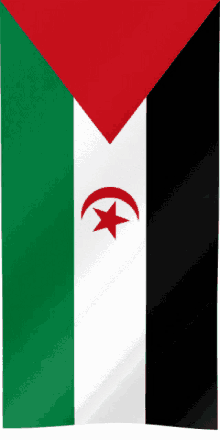 sahara flag