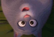 Wow Wide Eyes GIF - Wow Wide Eyes Meow GIFs