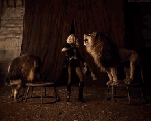 Britney Spear'S Circus GIF - Circus Circus Act Lions GIFs