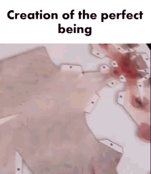 Pig Perfect Being GIF - Pig Perfect Being Creation GIFs