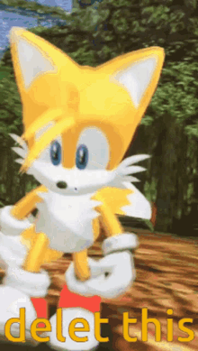 Tails Scream GIF - Tails Scream Sonic Adventure GIFs