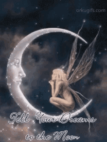 Night Tell Your Dreams To The Moon GIF - Night Tell Your Dreams To The Moon Fairy GIFs