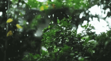 Raining GIF - Raining Rain GIFs