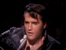 Elvis Presley The King GIF - Elvis Presley Elvis The King GIFs