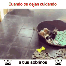 Puppies Cuidando GIF - Puppies Cuidando Cachorro GIFs