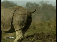 Rhino Poop GIF - Rhino Poop Worldbox Discord GIFs