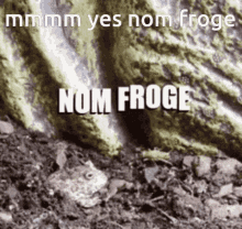 Froge Nom GIF - Froge Nom Nom Froge GIFs