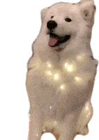 Dog Lights Sticker - Dog Lights Shaking Ears Stickers