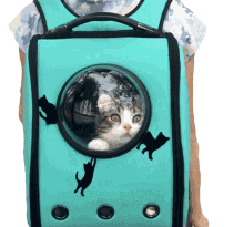 cat carrier the pet collective cat in the bag mobile cat portable cat cat carrier the pet collective cat in the bag mobile cat portable cat
