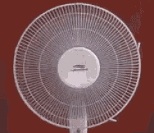 Electric Fan Wind GIF - Electric Fan Wind Turn GIFs