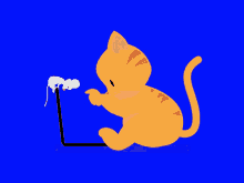Cat And GIF - Cat And Mouse GIFs
