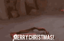 merry christmas rudolph reindeer