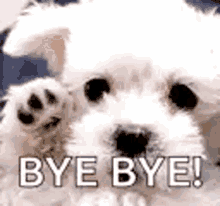 Goodbye Dog GIF - Goodbye Bye Dog GIFs