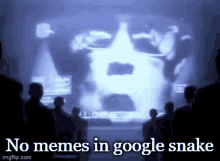 No Memes In No Memes In General GIF - No Memes In No Memes In General General GIFs