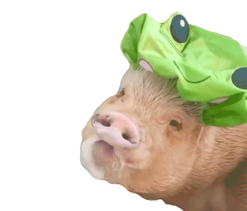Piglet Pig With A Shower Cap Sticker - Piglet Pig With A Shower Cap Cute Pig Stickers