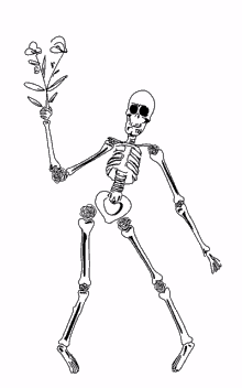 skull skeleton skulls line art drawing