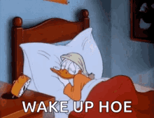 Donald Duck GIF - Donald Duck Wakey GIFs
