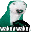 Wakey Wakey Sticker - Wakey Wakey Stickers