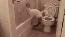 pooping fall fail funny pooping fall fail funny