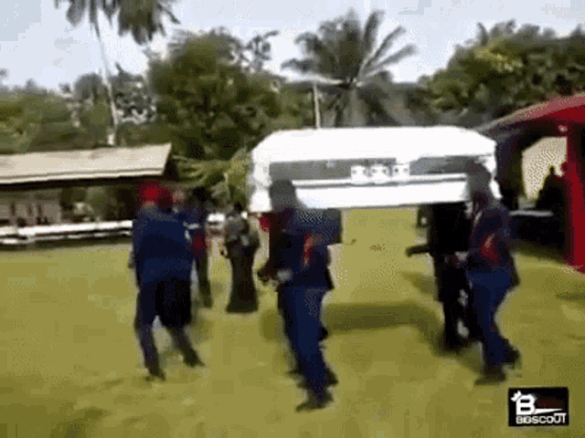 coffin dance meme mp4