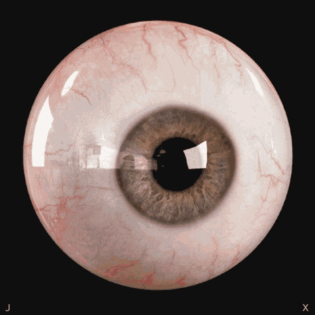 Eyeball Creepy GIF - Eyeball Creepy Halloween GIFs
