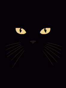 Tobis Cat GIF - Tobis Cat Black GIFs
