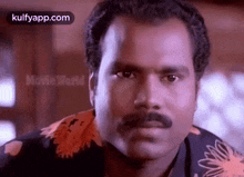 shy gif ayoo nanakead nanam