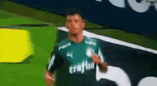 Veron Palmeiras GIF - Veron Palmeiras Chiqueiro GIFs