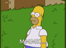homer simpson homer disappears bush hiding