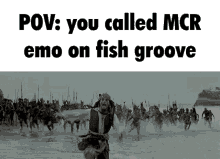 mcr emo fish groove pov you called mcr emo on fish groove