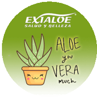 Exialoe Euroexito Sticker - Exialoe Aloe Euroexito Stickers
