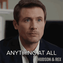 Anything At All Charlie Hudson GIF - Anything At All Charlie Hudson Hudson And Rex GIFs