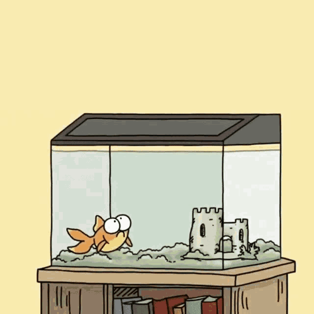 Cat Fish GIF - Cat Fish Invisible - Discover & Share GIFs