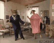 Dancing Cat GIF - Dancing Cat Cat Dancing GIFs