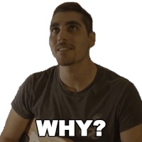 Why Rudy Ayoub Sticker - Why Rudy Ayoub Whats The Reason Stickers