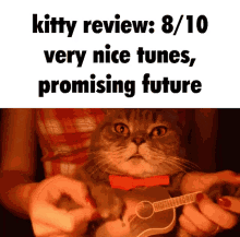 Cat Music GIF - Cat Music Meme GIFs
