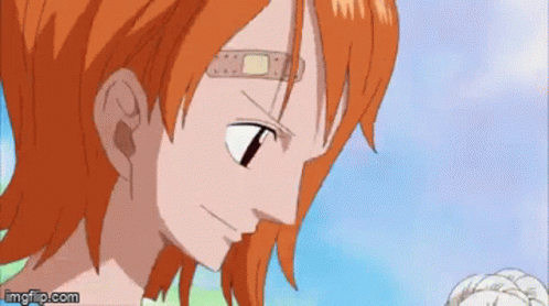 One Piece Fight Together Gif One Piece Fight Together Nami Discover Share Gifs