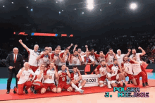 Polska Poland GIF - Polska Poland Volleyball GIFs