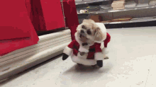 Merry Christmas Marnie!  GIF - Santa Claus Costume Christmas GIFs