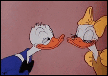 donald duck rub faces rub beaks kisses daisy duck