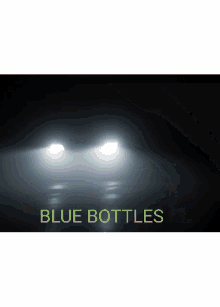 Blue Bottles GIF - Blue Bottles Police Car GIFs