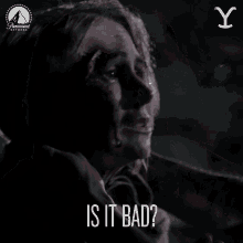 Is It Bad Yellowstone GIF - Is It Bad Yellowstone Is It Terrible GIFs